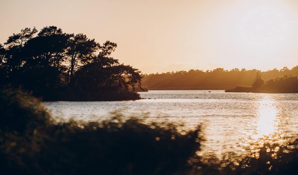 Solnedgång