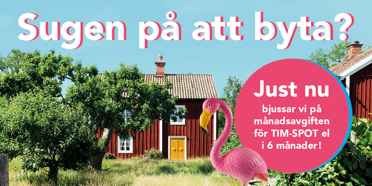 Kampanj för TIM-SPOT el, flamingo och stuga.